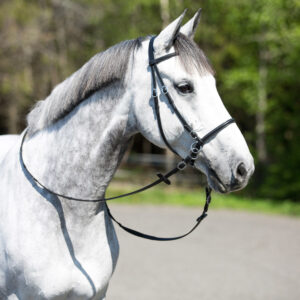 Horze Leather Bitless Bridle