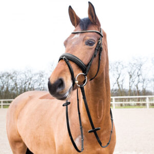 Horze Lester Dressage Snaffle Bridle w/ Reins