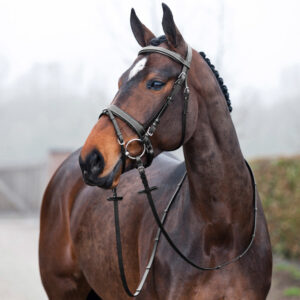 Horze Venice Soft Padded Bridle w/ Reins