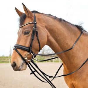 Horze Sparta Leather Draw Reins