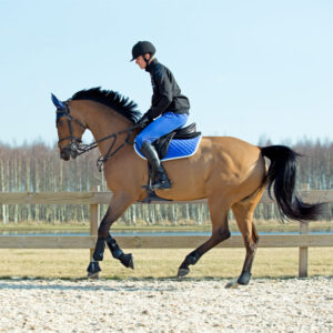 Horze Chooze All Purpose Saddle Pad