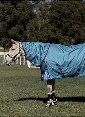 Horse Blankets & Sheets