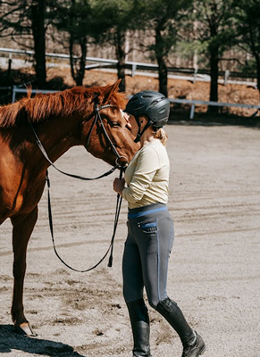 Dressage
